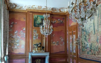 Hôtel particulier – Salon historique – Paris