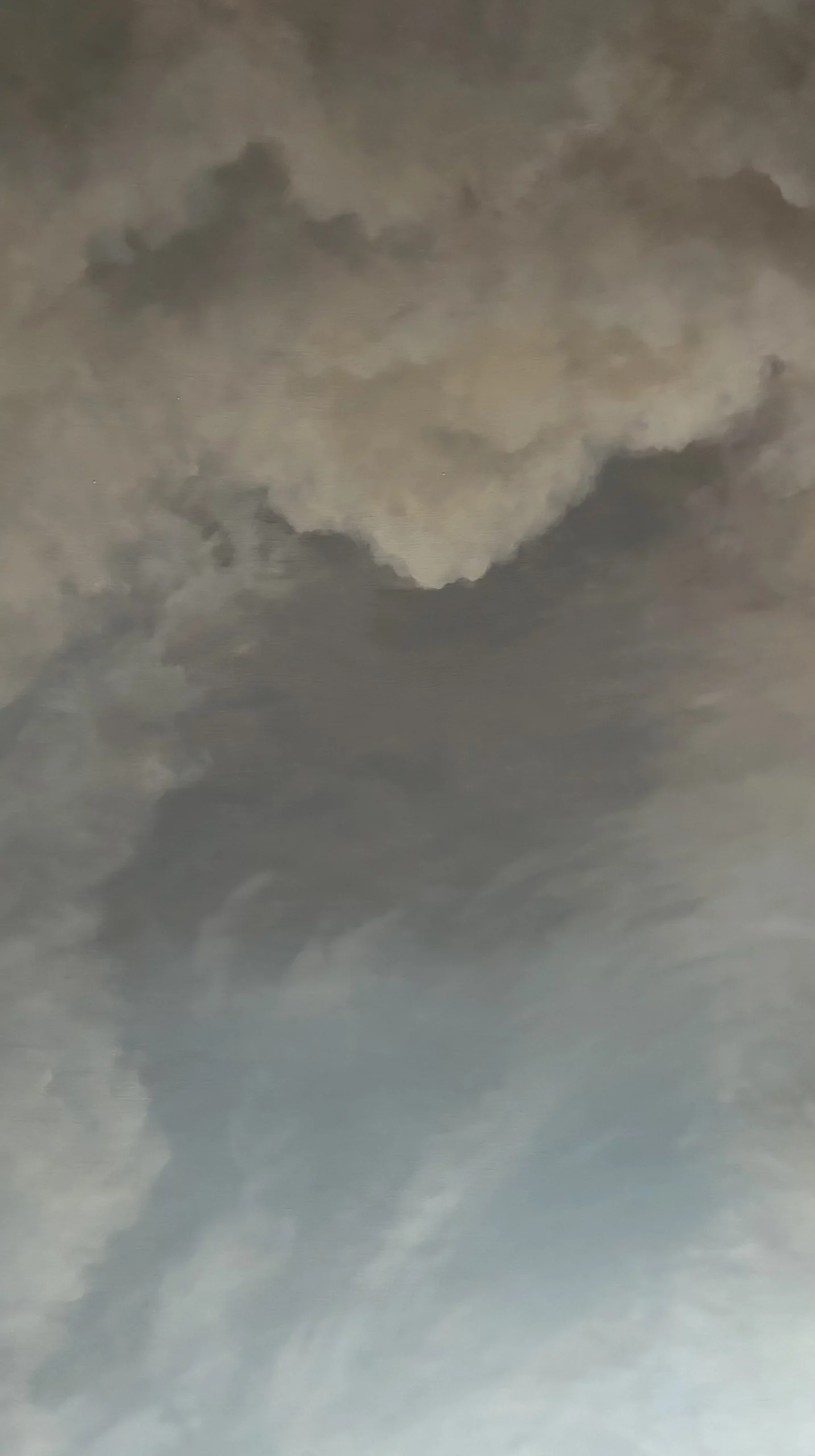 530-CHANTEREINE-041 1